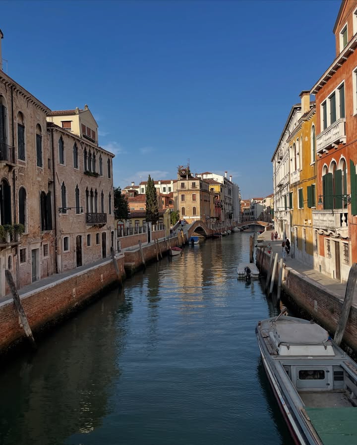 No photo description available.