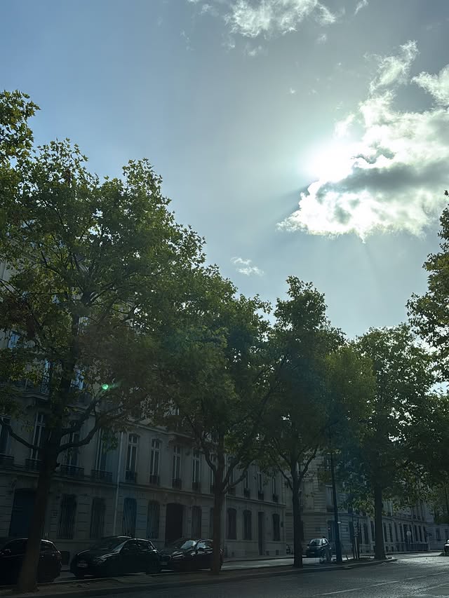 No photo description available.