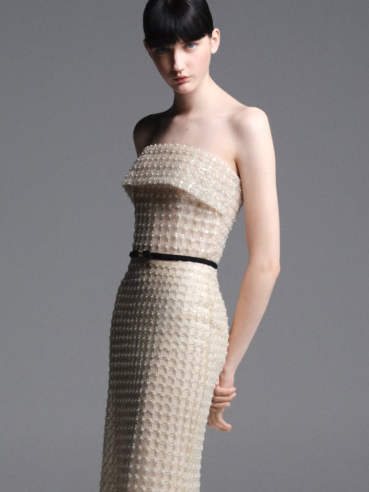 May be an image of gown, dress and text