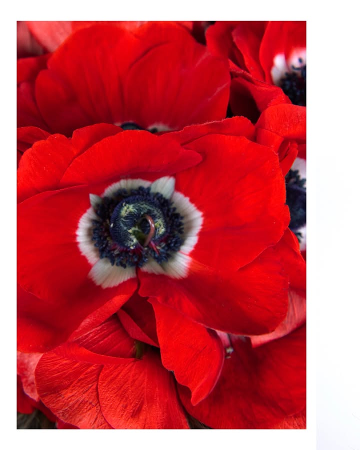 No photo description available.