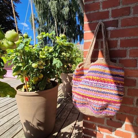 No photo description available.