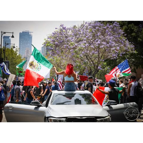 No photo description available.