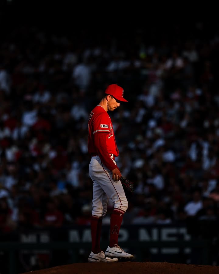 No photo description available.