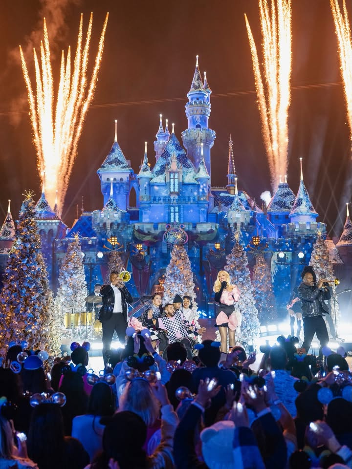 May be an image of castle, fireworks, crowd and text