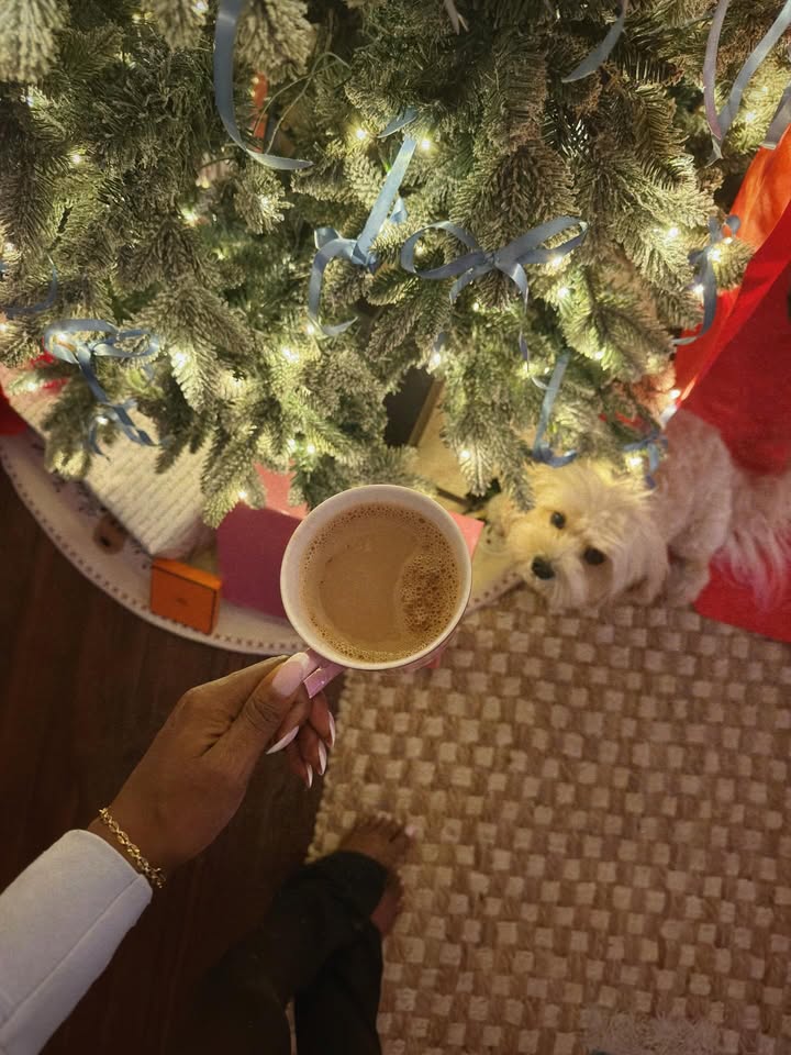 May be an image of Maltese, christmas tree, tea, teacup, cup and text