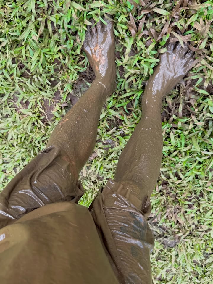 May be an image of grass and text