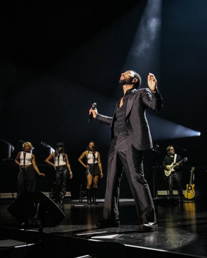 May be an image of microphone and concert