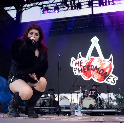 May be an image of concert and text