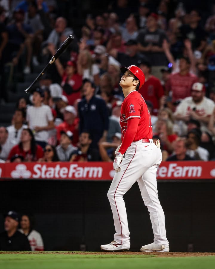 No photo description available.