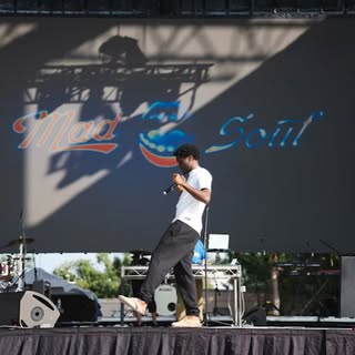 May be an image of microphone, concert and text