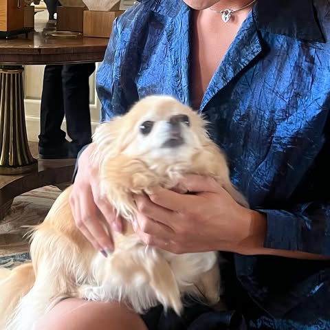 No photo description available.