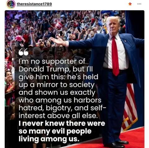 May be a Twitter screenshot of standing and text that says 'theresistance1789 I'm no supporter of Donald Trump, but I'll give him this: he's held up α mirror to society and shown us exactly who among us harbors hatred, bigotry, and self- interest above all else. Inever knew there were so many evil people living among us.'