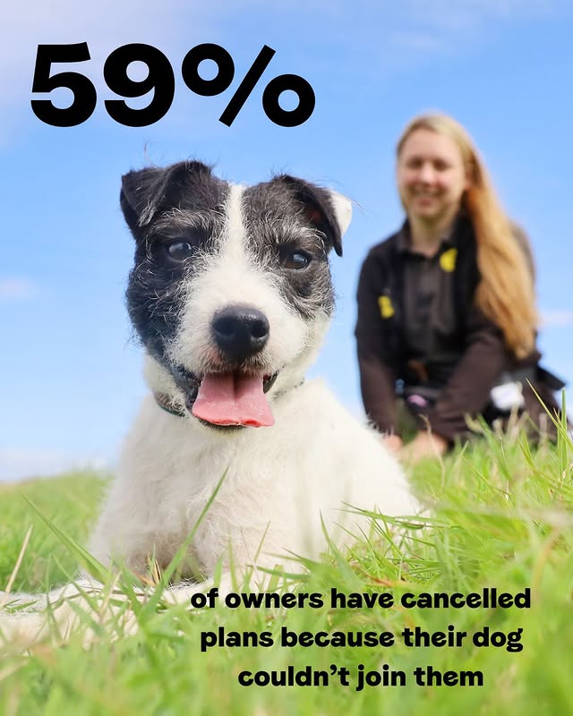A small dog lies down in the grass. Text highlights results of a recent survey.