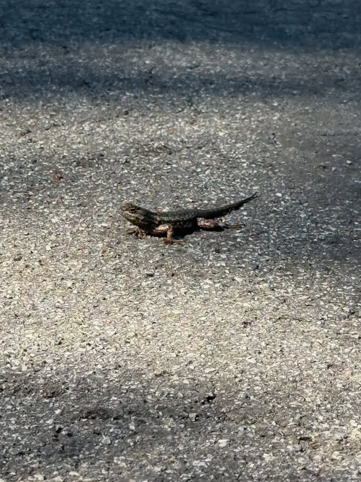 No photo description available.