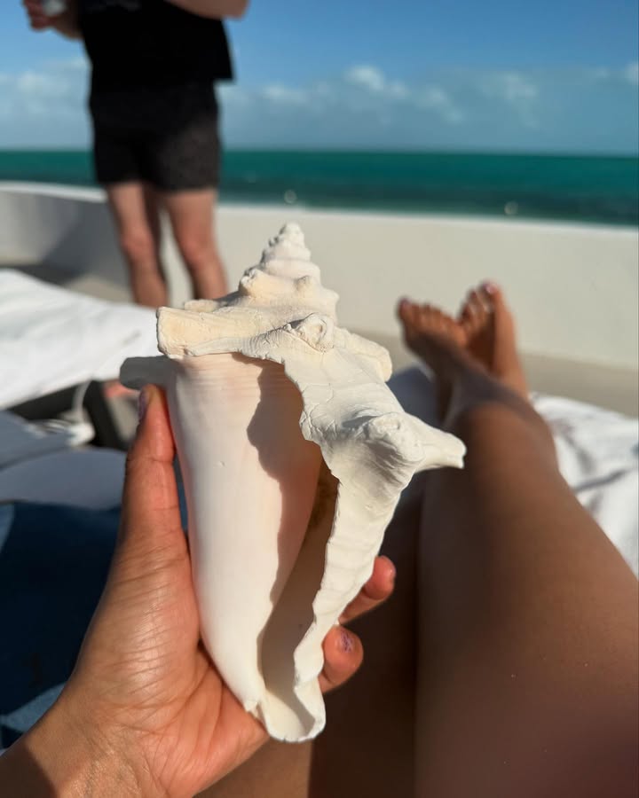 No photo description available.