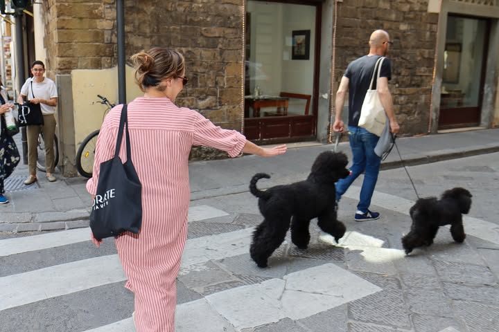 No photo description available.