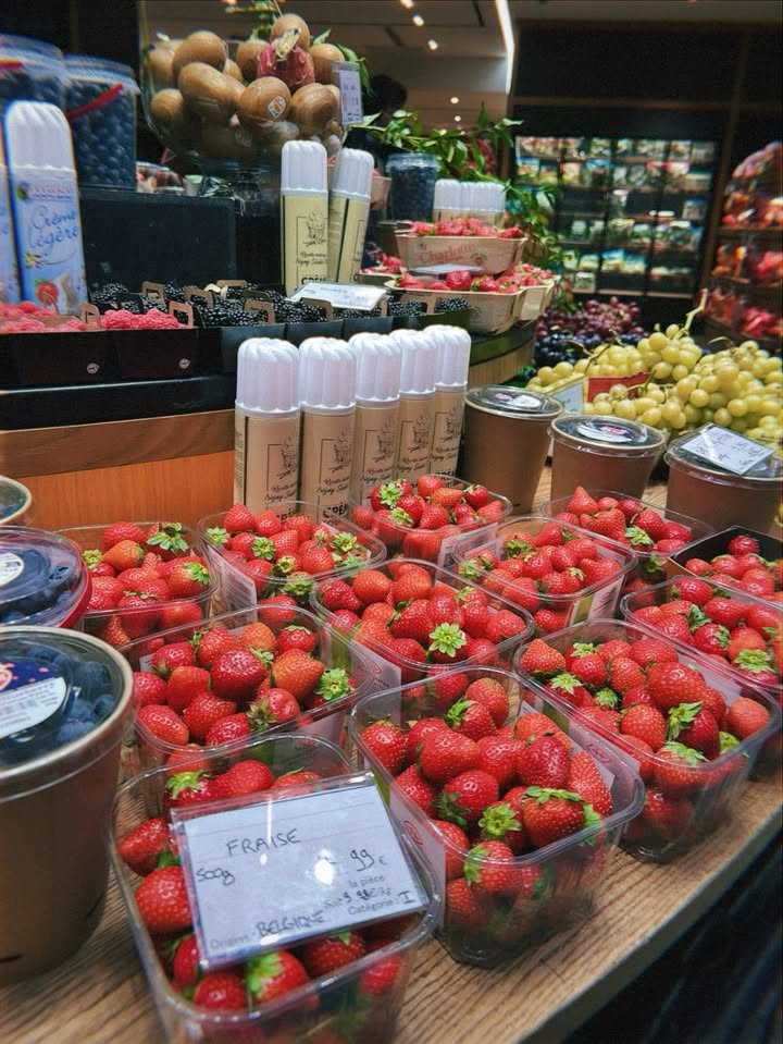 No photo description available.