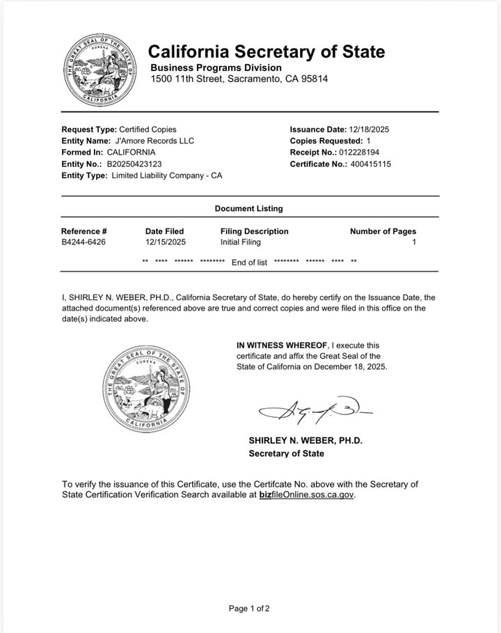 May be an illustration of blueprint, poster and text