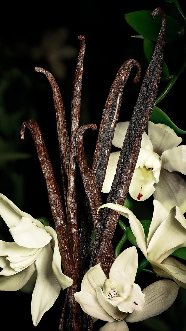 No photo description available.