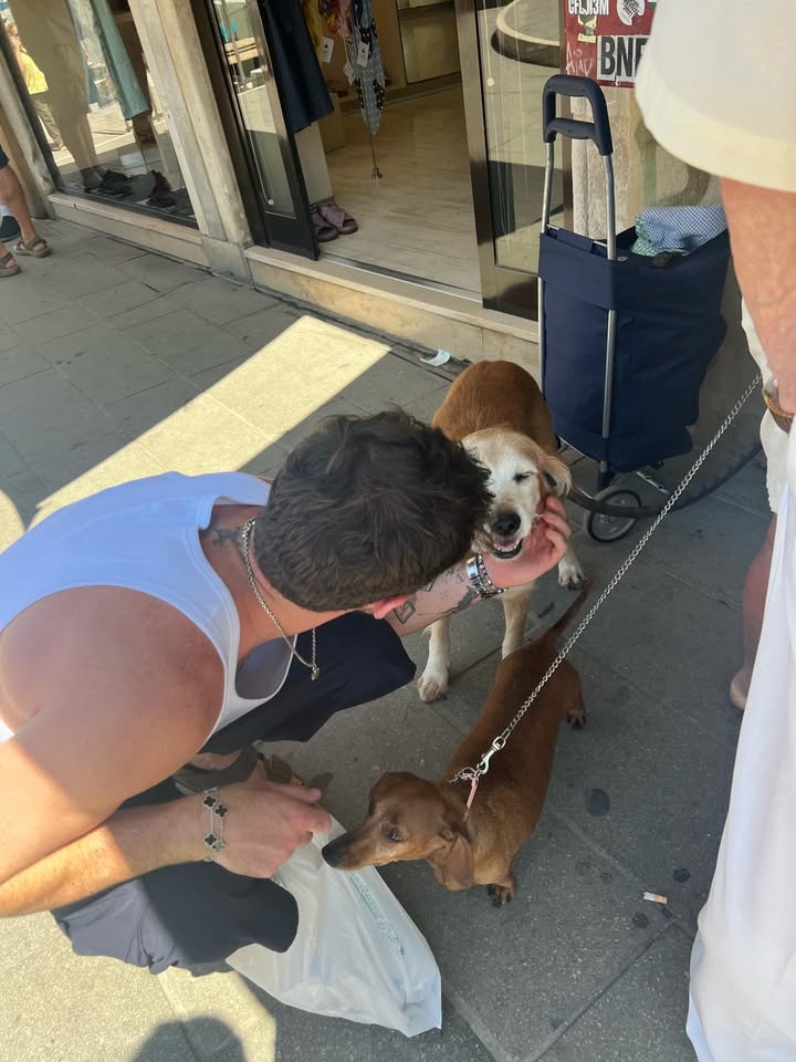 No photo description available.