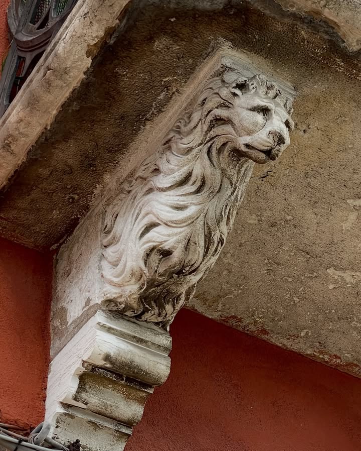 No photo description available.