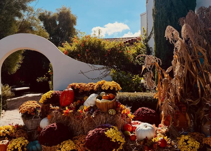 May be an image of scarecrow and flower