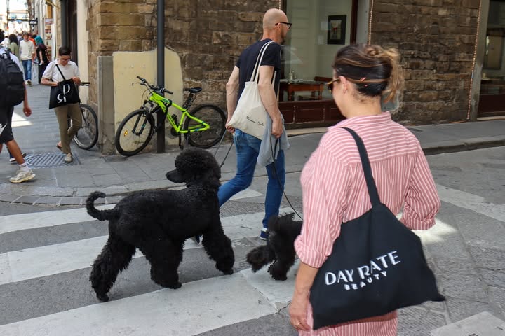 No photo description available.