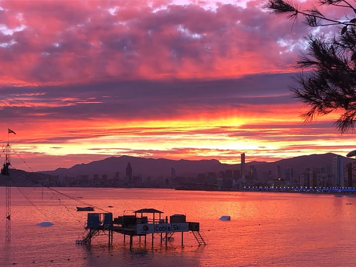 No photo description available.