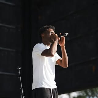 May be an image of microphone, concert and text