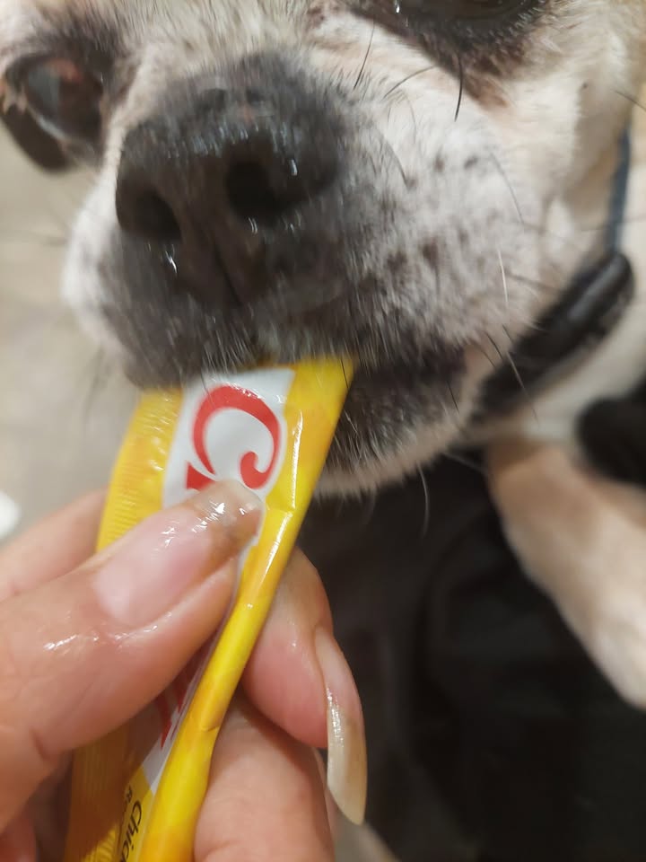 No photo description available.