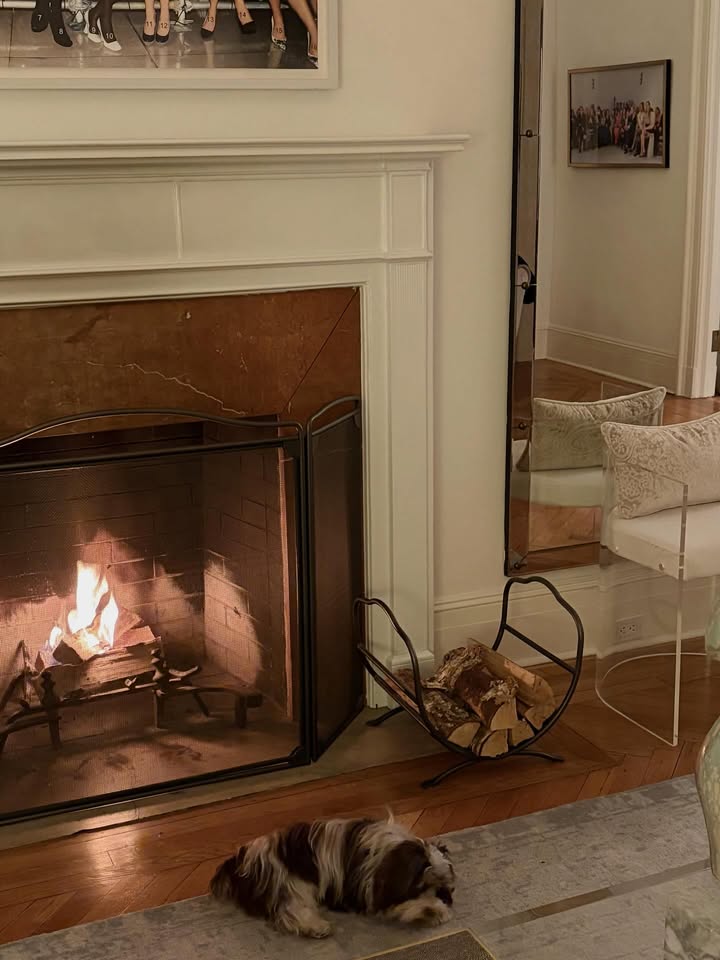 May be an image of Abyssinian cat, kitten, fire, fireplace, hearth and text