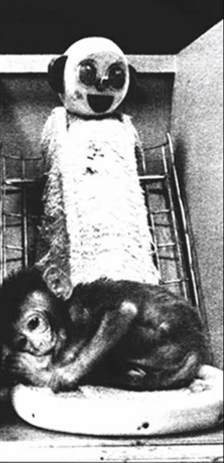 No photo description available.