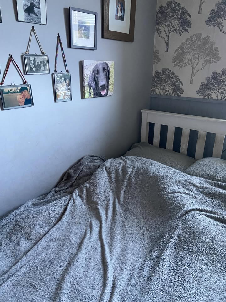 May be an image of headboard, bed, blanket, mattress, bedroom and text