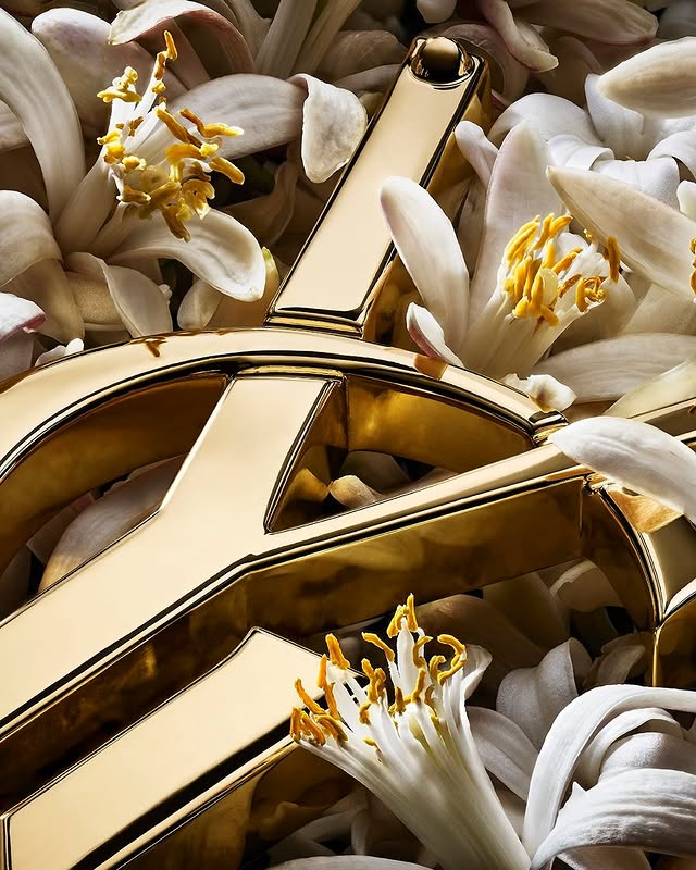 No photo description available.