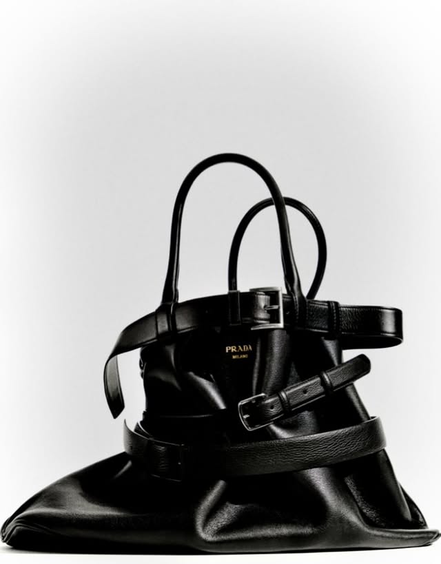 May be an image of leather, purse, sandals, strap and text