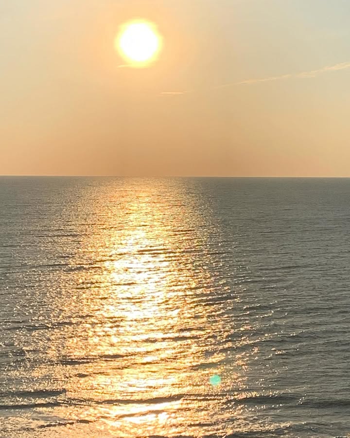 No photo description available.