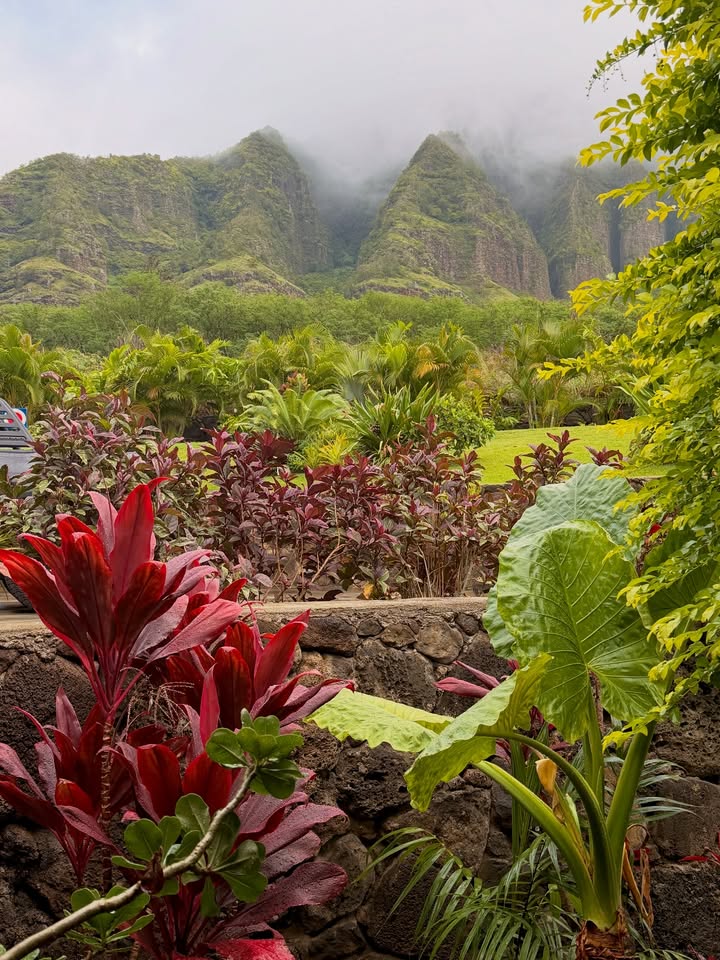 May be an image of park and text