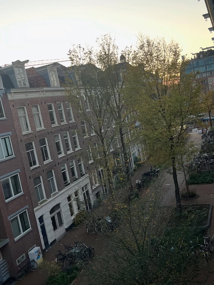 May be an image of fire escape, window and text