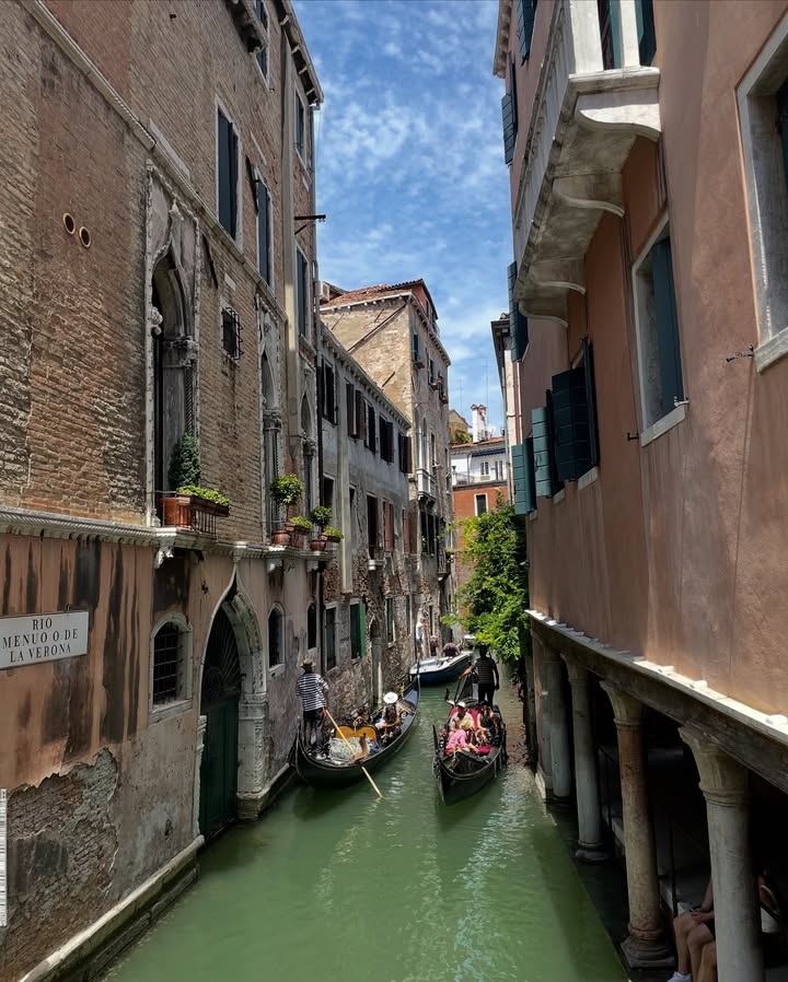 No photo description available.