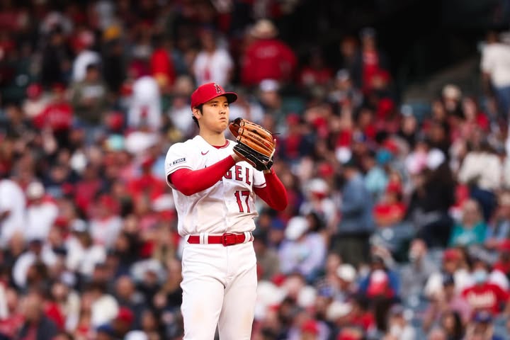 No photo description available.