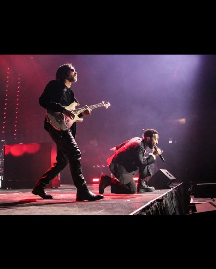 May be an image of guitar, concert and text