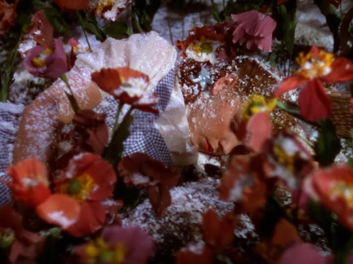 May be an image of text