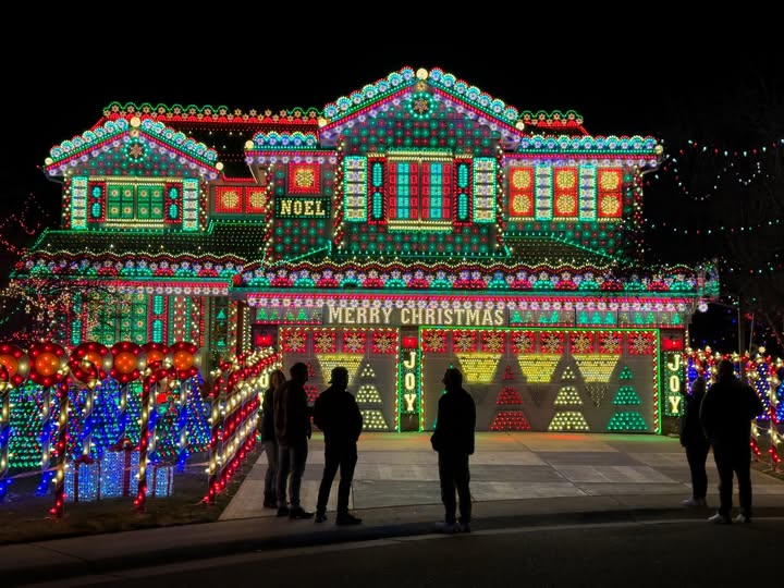 May be an image of lighting, christmas tree, night and text