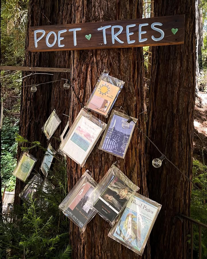 No photo description available.