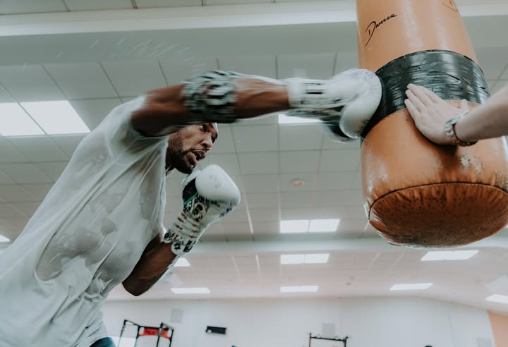 May be an image of punching bag and text