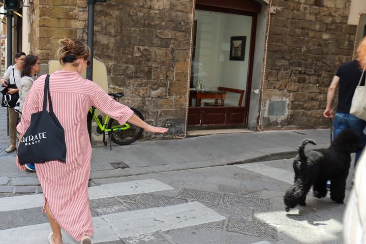 No photo description available.