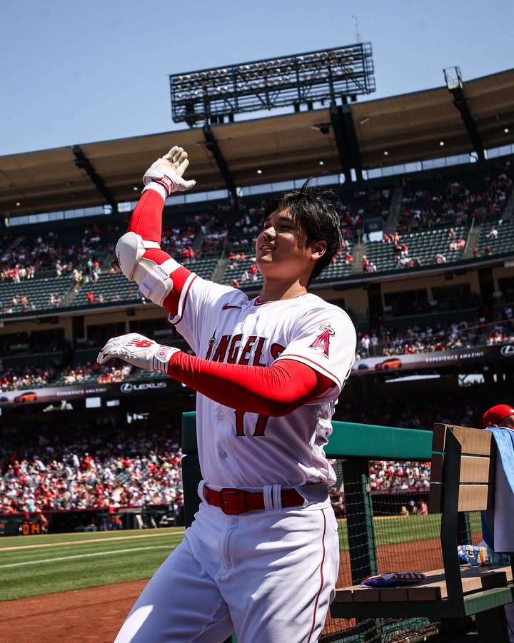 No photo description available.