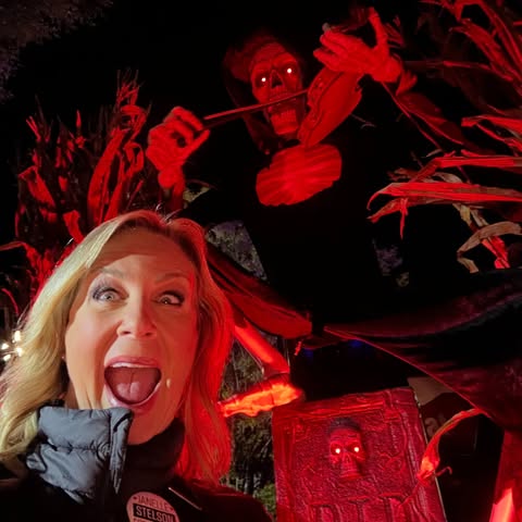 May be an image of spider and scarecrow