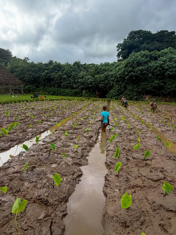 May be an image of text