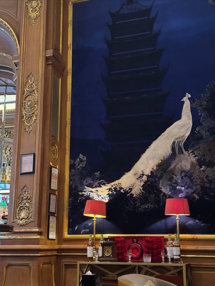 No photo description available.